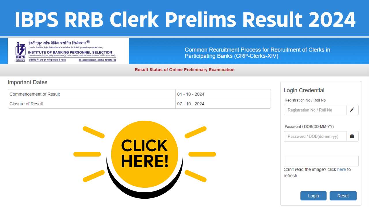 IBPS RRB Clerk Prelims Result 2024